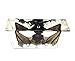 Taxidermy Real Bat Specimens Science Classroom Specimen for Science Education（5.3