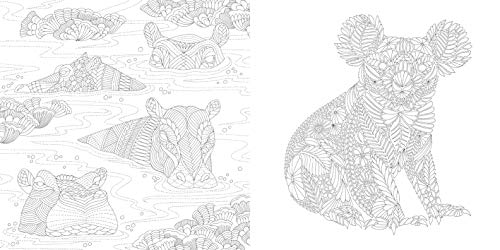 Millie Marotta's Wildlife Wonders: Favorite Illustrations from Coloring