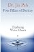 Four Pillars of Destiny Exploring Water Charts by Dr Jin Peh