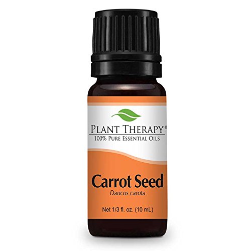 Plant Therapy Carrot Seed Oil