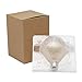G95 Vintage Edison Bulb, Elfeland Antique LED Globe Decorative Light E26/E27 Base AC85-265V Non-dimmable for Home Bar Party Wedding Festival (Warm White)