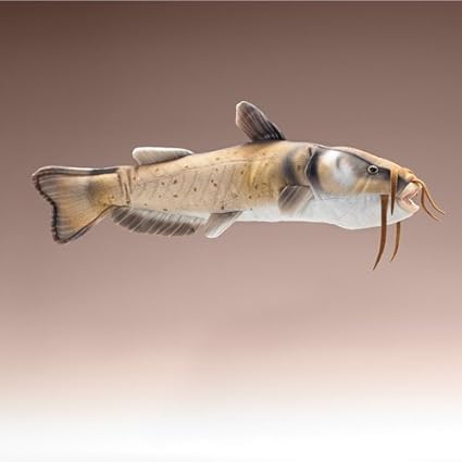 plush catfish