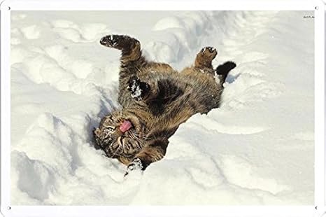 Amazon Co Jp おかしい猫雪の中でのティンサイン 金属看板 ポスター Tin Sign Metal Poster Of Funny Cat In The Snow ホーム キッチン