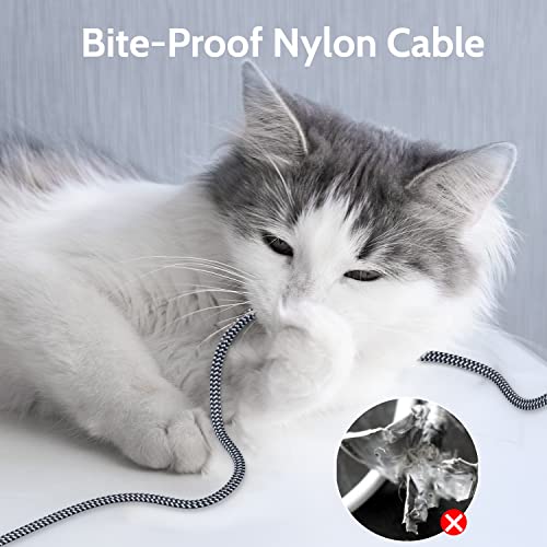 CAT-7 Ethernet Cable 3 Feet 3 Pack- High Speed Flat Internet Network Computer Pa