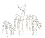 Animated Lighted Reindeer Family Set 3 Christmas Yard Decoration Outdoor