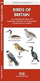 Birds of Britain: A Folding Pocket Guide to Familiar Species of England, Scotland & Wales (A Pocket Naturalist Guide) by James Kavanagh, Waterford Press