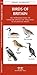 Birds of Britain: A Folding Pocket Guide to Familiar Species of England, Scotland & Wales (A Pocket Naturalist Guide) by James Kavanagh, Waterford Press