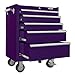 Viper Tool Storage V2605PUR 26-Inch 5-Drawer 18G Steel Rolling Cabinet, Purple
