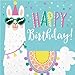 Olive Occasions Llama Themed Happy Birthday Paper Party Supplies Serves 16 Dinner Plates, 16 Cake Plates, 16 Lunch Napkins, 16 Beverage Napkins, Banner, Table Cover, Forks, Cups and Recipe