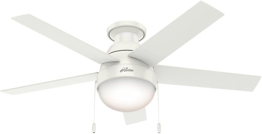 Hunter Indoor Low Profile Ceiling Fan With Light And Pull Chain