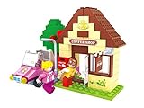Ausini Fairyland Friends Cafe Shop with Car 123pc Educational Set – Best Gift for Girls