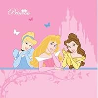 Linenideas Disney Princess Canvas Art - 29 x 29 cm 11.4 x 11.4 Inch