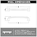 Franklin Brass Lombard (10-Pack) Cabinet Handles 5-1/16