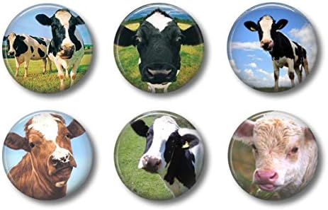 New Barnyard Pig Piglet 3d Refrigerator File Cabinet Magnet Decoration Adorable