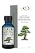 Optimally Organic Red Pine Needle Oil 2oz - Daily Drops for Extreme Immune Support - BioActive Cell & DNA Support - 1290 Drops - 3 to 7 Drops Per Dose -Vegan Body Cleanse - Longevity Oil