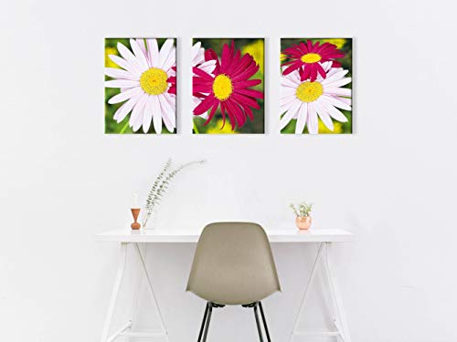 White and Red Daisies Canvas Print for Living Room Chrysanthemum Wall Art Decor Painting Pictures Artwork (12x16inch x3pcs)