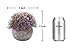 HC STAR Artificial Plant Potted Mini Fake Plant Decorative Lifelike Flower Green Plants Fake Flowers Small Fake Plants for Home/Office Decor/Desk/Kitchen/Bathroom/Shelves Purple Decor