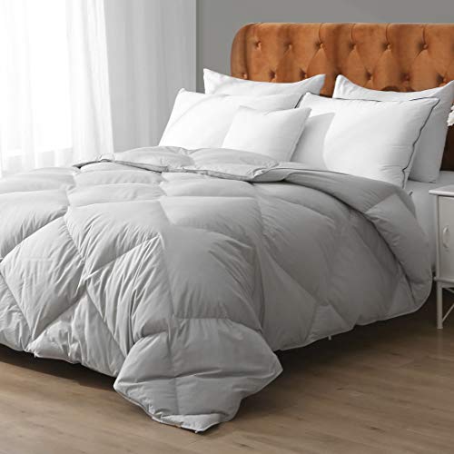 APSMILE Grey Feathers Down Comforter Queen Size, All Seasons Feathers