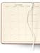 2019 Gallery Leather Large Monthly Planner Key West Salmon 9.75