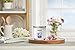 Yankee Candle Midnight Jasmine Scented, Classic 7oz Small Tumbler Single Wick Candle, Over 35 Hours of Burn Time