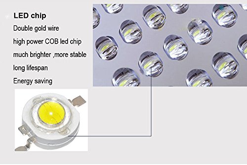 Brillihood LED Road Street Pole Light, 24 Watt, 6000K (Bright White), 2400 Lumens, IP65 Outdoor Floodlight Yard Garden Packing lot Lamp, LED Commercial Light - Thumbnail 3