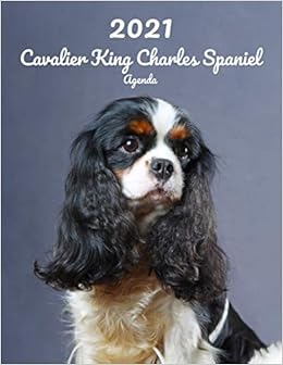 amazon cavalier king charles spaniel