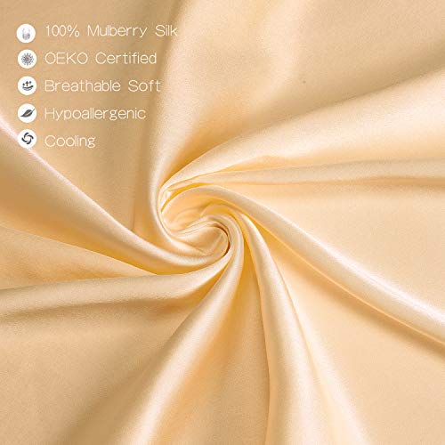 YANIBEST Pillow Cases 2 Pack 100 Mulberry Silk Pillowcase for Hair and
