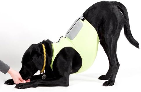 K9 Fitvest (m)