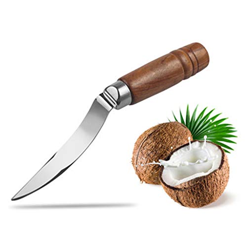 1 Coconut+Stainless+Coconuts+Removal+TwJim