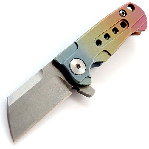 Eafengrow EF202 Mini Pocket Knife Folding Knife with S35VN Blade Titanium Alloy Handle Outdoor Camping Knives EDC Tool (colorful)