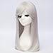 netgo Long Straight Silver White Anime Cosplay Wigs for Women Halloween Costume Wigs Heat Resistant 20