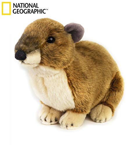 NATIONAL GEOGRAPHIC Rock Hyrax Plush