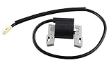 Podoy 398811 Ignition Coil for Briggs & Stratton 395492 395326 398265 7HP-16HP Engines
