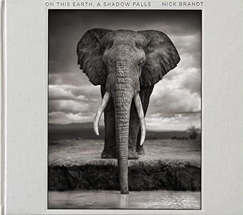 Nick Brandt A Shadow Falls ニック・ブラント　難あり Amazon.com: A Shadow Falls: 9780810954151: Nick Brandt: Books