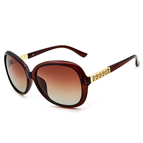 Sunglass Hut Repair Kit TOPRated Best Sunglass Hut Repair Kit