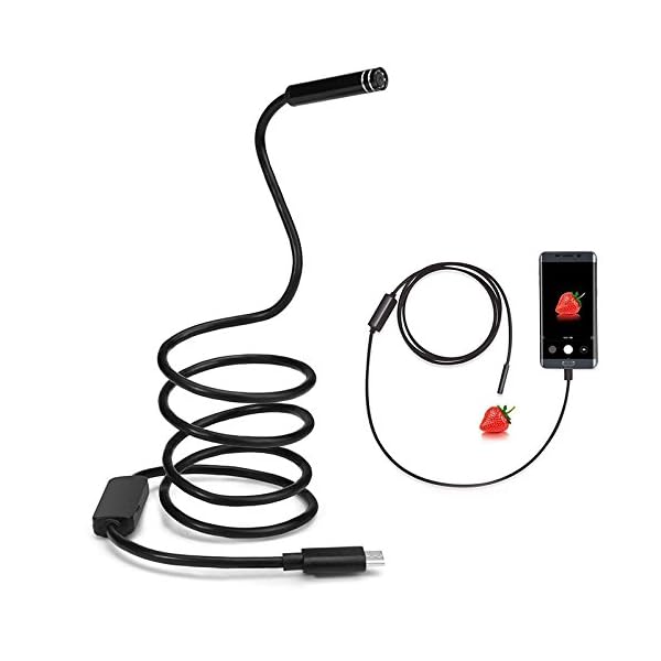 8mm 2MP 8LED 3M Android-Telefon USB Typ C USB-C Endoskop-Mikrokameras