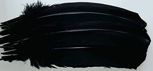 SmileyMe Brand Black Turkey Quill Feathers - By the Dozen - Curved Right