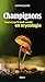 Champignons : Tout ce qu'il faut savoir en mycologie by