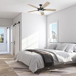 Prominence Home 51649-01 Lorelai Smart Ceiling Fan