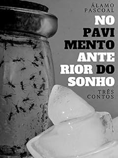 Livro No pavimento anterior do sonho