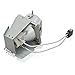 Litance BL-FP190E Replacement Lamp for Optoma GT1080, HD141X, HD26, BR323, BR326, DH1009, DW333, DX346, EH200ST, S312, S316, W316, X316 Projectors