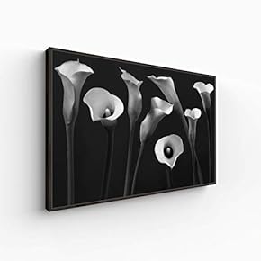 Canvas Wall Art for Living Room, Bedroom Monochrome Plants Framed Canvas Prints for Home Decoration Ready to Hang - 16x24 inches