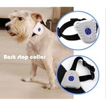 shock collar for dogs under 10 pounds