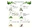 Pakanunpat Thai herbal wax 3 X 15 gram for muscle pain, insect bites, and massage