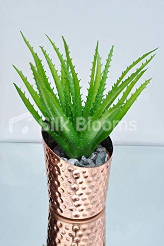 Amazon Com Silk Blooms Ltd Artificial Premium Green Aloe Vera