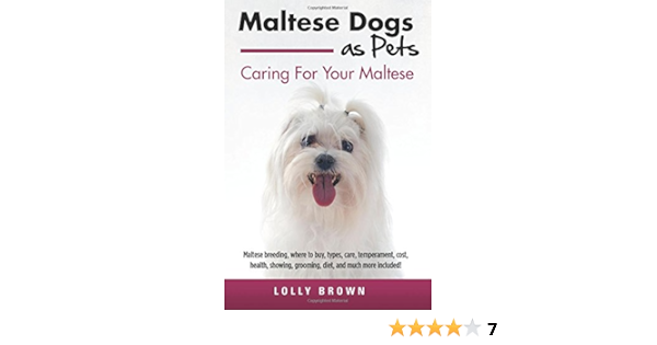 maltese grooming cost