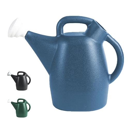 Chapin 48010 Watering Can