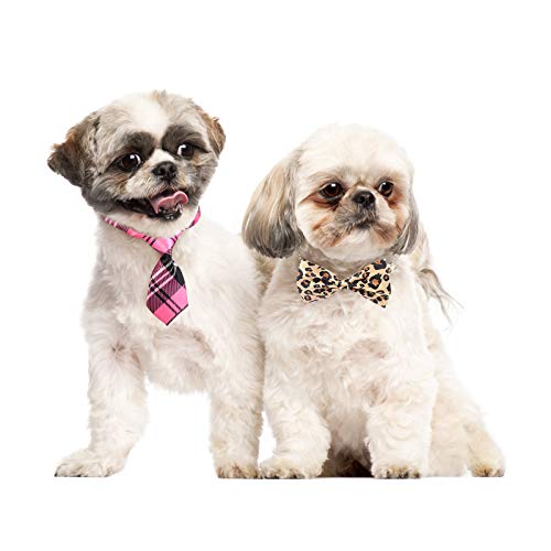 dog neck accessories