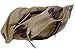 KISS GOLD(TM European Style Canvas Large Tote/Travel Bag/Duffle Bag/Shopping Bag, Size 22 '' X6.3'' X 14.2 '' (Army Green)