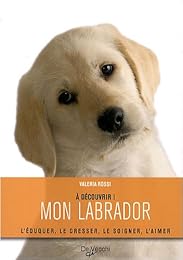 Mon labrador